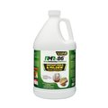 Rmr Brands RMR-86 INSTANT MOLD & MILDEW STAIN REMOVER GALLON RMR86G